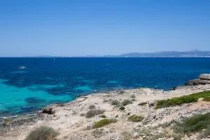 Acacia * Llucmajor (Mallorca)